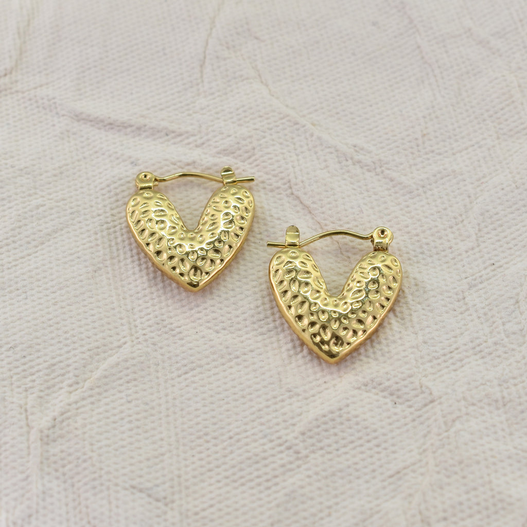 Vaani Everyday Earrings