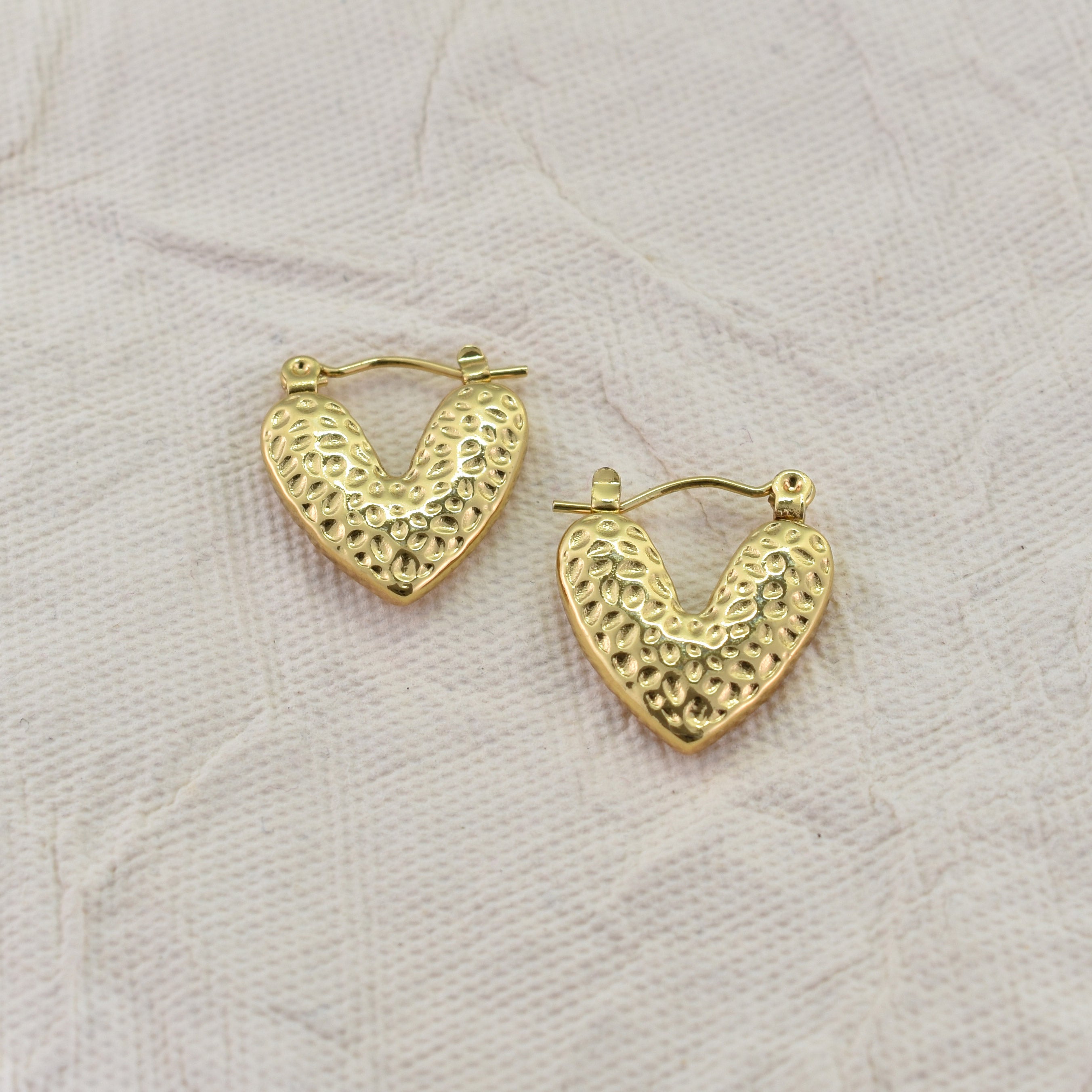 Vaani Everyday Earrings